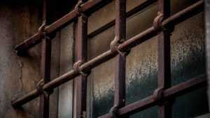 Правозащитники сообщили о недовольстве заключённых в брянской колонии