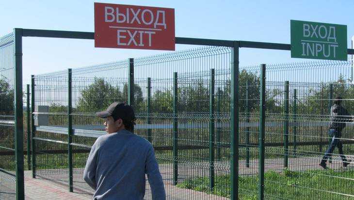 Телеканал «Россия-1» рассказал о криминальном бизнесе на брянской границе