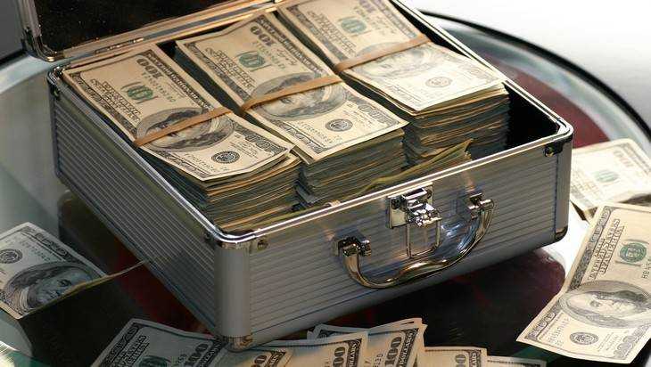 В Брянске у банкирши отобрали 178000 евро и 200000 долларов