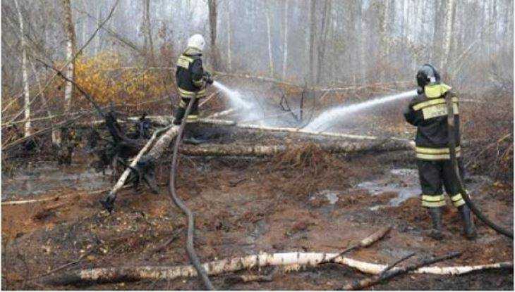 В брянском селе 45 спасателей сразились с торфяным пожаром