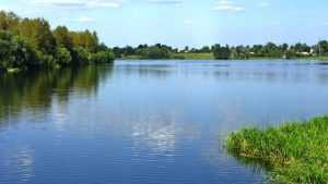 В Клинцах со дна озера Стодол подняли тело 30-летнего мужчины