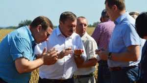 Брянский губернатор предостерег фермеров от опасного головокружения