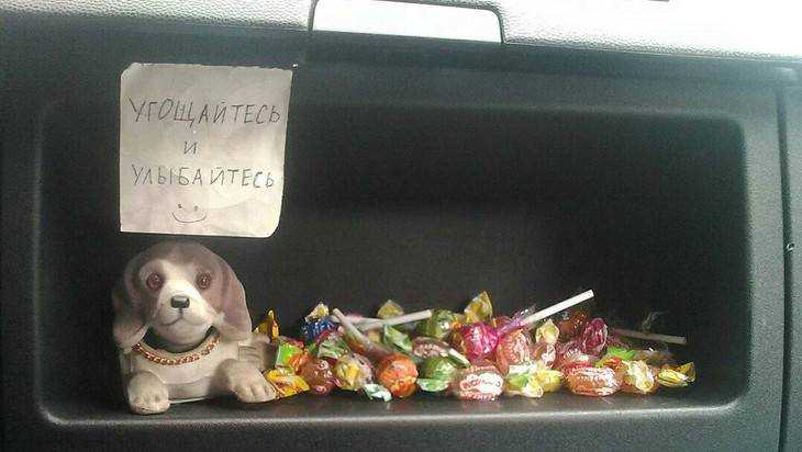 Брянцев умилил водитель маршрутки, угощающий пассажиров конфетами 