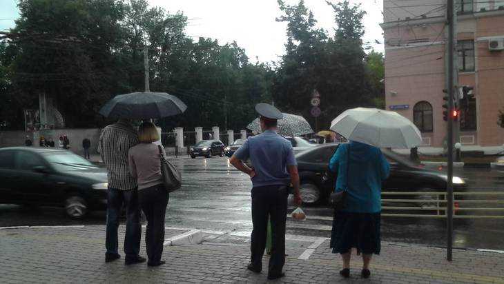 В Брянской области зарядили дожди и похолодает до 6 градусов