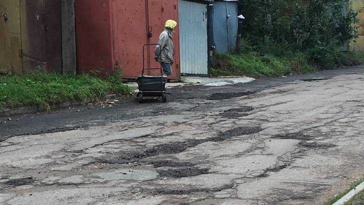 В Брянске сфотографировали ремонтирующую дорогу бабушку