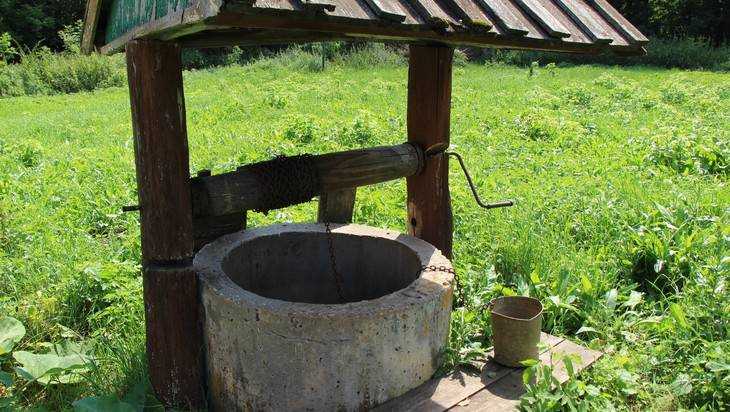 Брянским чиновникам велели наладить водоснабжение поселка