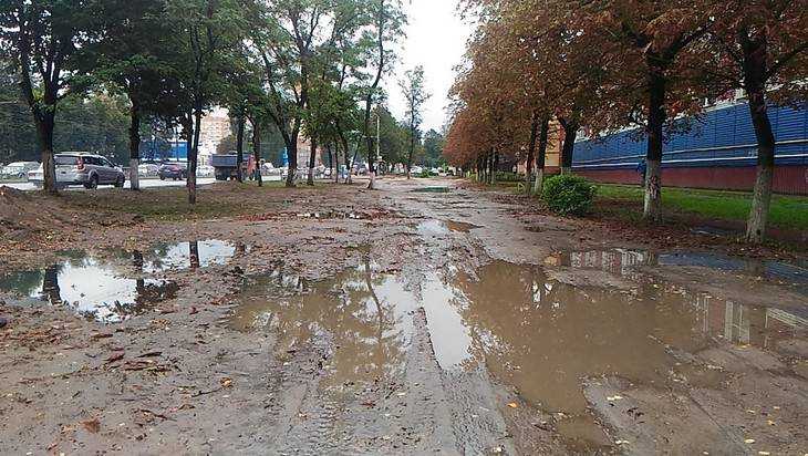 Жители Брянска потребовали избавить их от грязи и разрушенных тротуаров