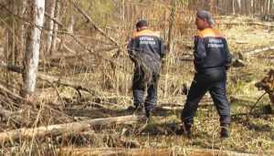 Брянцы начали поиски пропавшего в лесу 80-летнего Ильи Цыганкова
