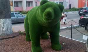 В Брянске у Кургана Бессмертия поселился зелёный медведь