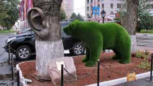 В Брянске зеленый медведь поселился у дерева с ухом