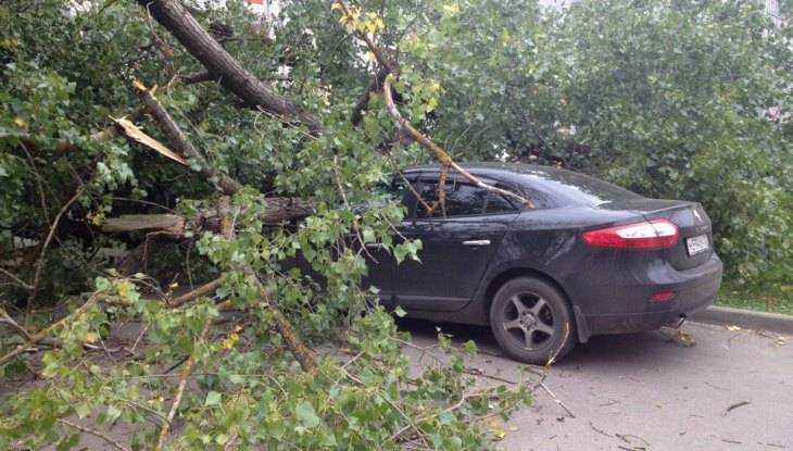 В Брянске ветер обрушил деревья на машины и повалил забор на набережной