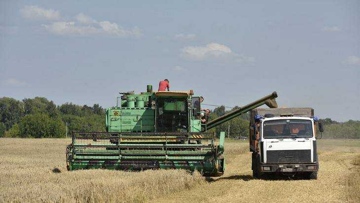 На брянских полях собрали более миллиона тонн зерна