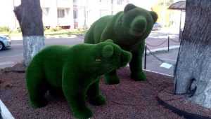 В Брянске зелёному медведю подарили зелёную подругу