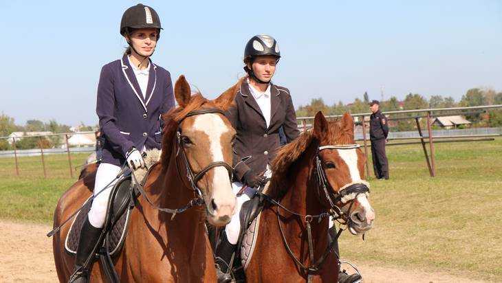 Брянские наездники сразились за Кубок губернатора по конному спорту