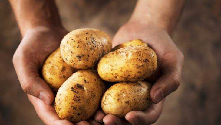 В Новозыбкове пенсионерам бесплатно раздали полторы тонны картофеля