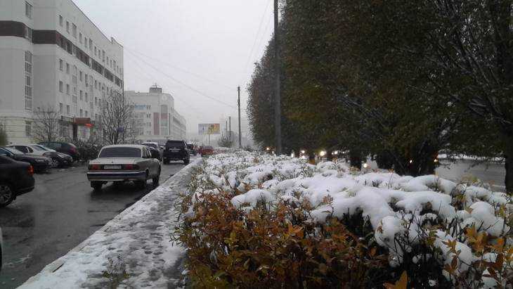 Брянск испытал первый сильный снегопад