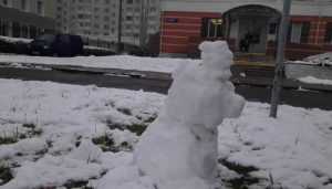 В Брянске сфотографировали первых снеговиков