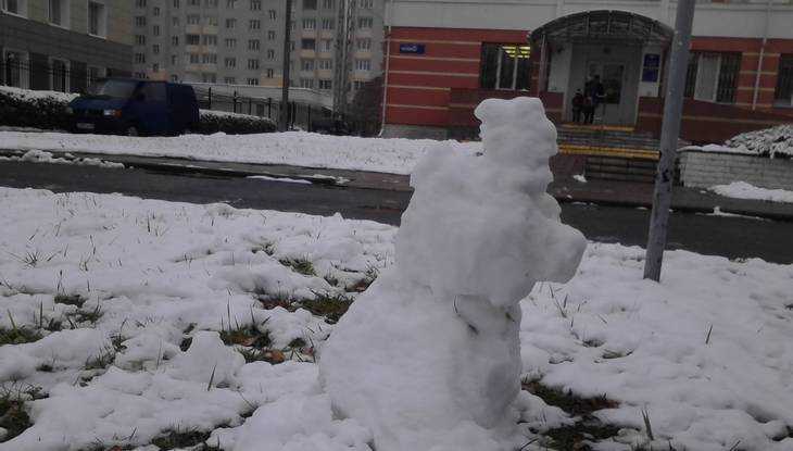 В Брянске сфотографировали первых снеговиков