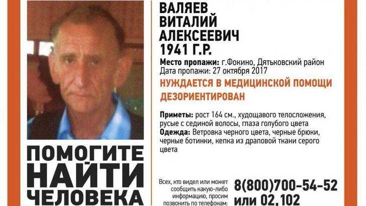 В Брянской области начали поиски пропавшего 76-летнего Виталия Валяева