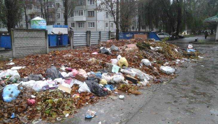 Житель Брянска рассказал о мусорных завалах на улице Орловской