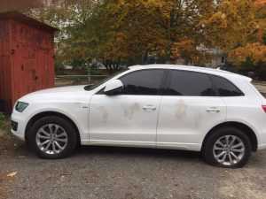 В Брянске на Авиационной улице вандалы искорежили дорогой Audi Q5