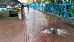 В Брянске из-под тротуара у автовокзала ударил фонтан