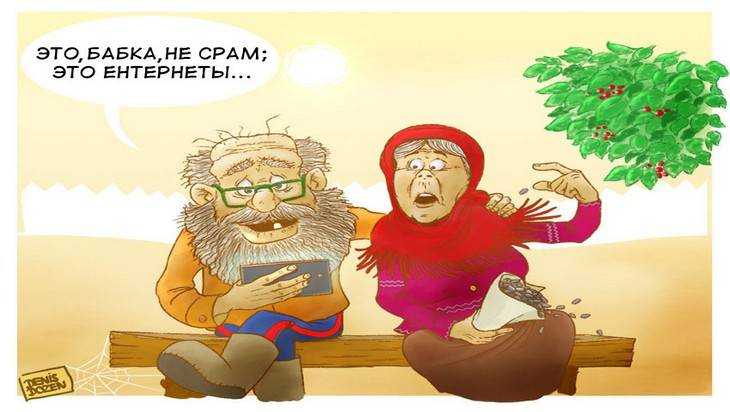 Неработающих брянских пенсионеров научат за 600 тысяч рублей сёрфить