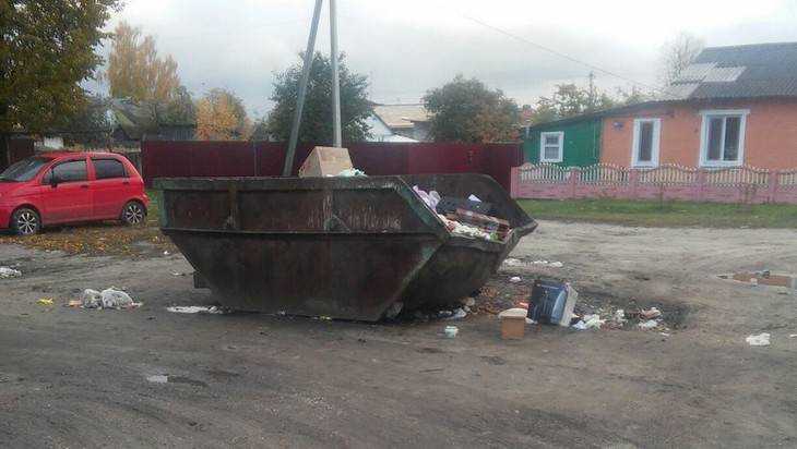 В Брянске неожиданно пропали мусорные контейнеры