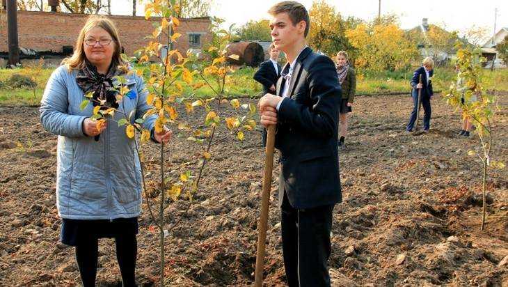Брянские школьники заложили фруктовый сад