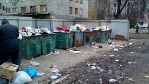 Уроженец Брянска вернулся в город и ужаснулся мусорным завалам