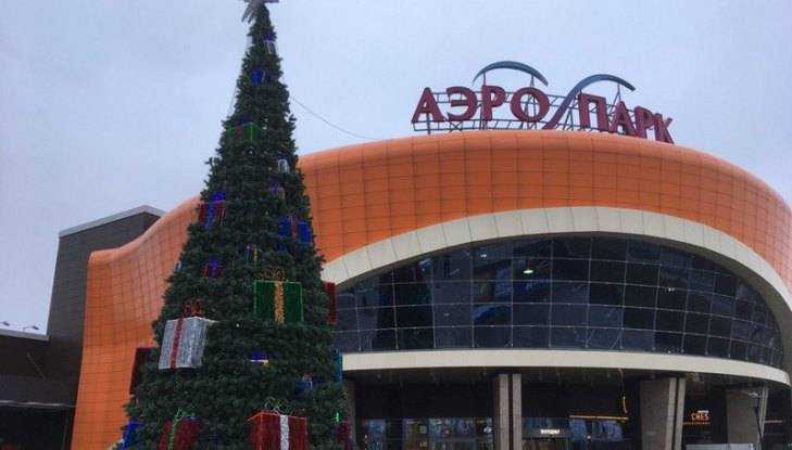 В Брянске первую новогоднюю ёлку установили возле «Аэропарка»