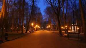 В Брянске опровергли новость «адского» сайта о мраке в парке Толстого