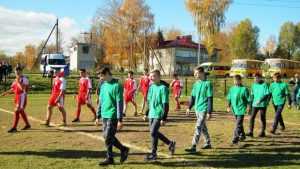 В Брянской области прошло первенство школьников по мини-лапте