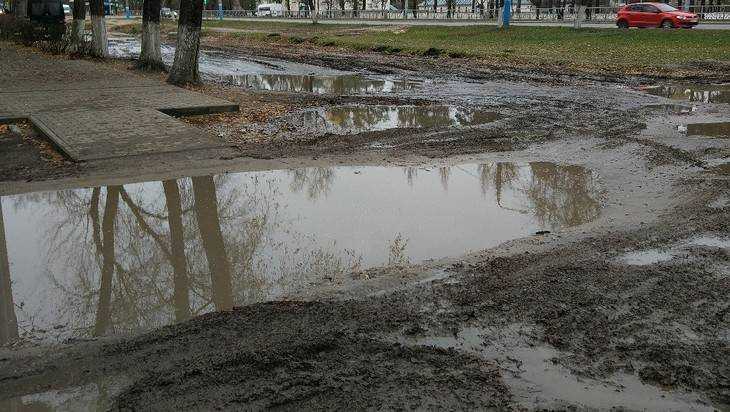 Жители Фокинского района Брянска пожаловались на разбитые дороги