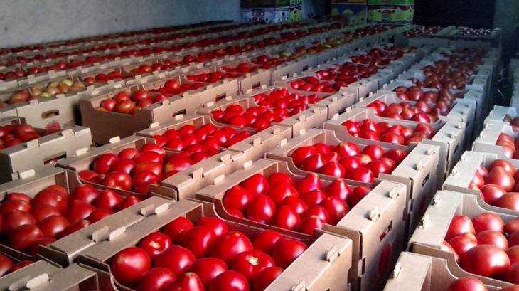 Турция продолжит поставку помидоров в Россию через Брянскую область