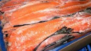 Брянцы вернули в Норвегию 37 тонн лосося для Казахстана