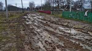 Фото дороги в Дубровке потрясли пользователей сети
