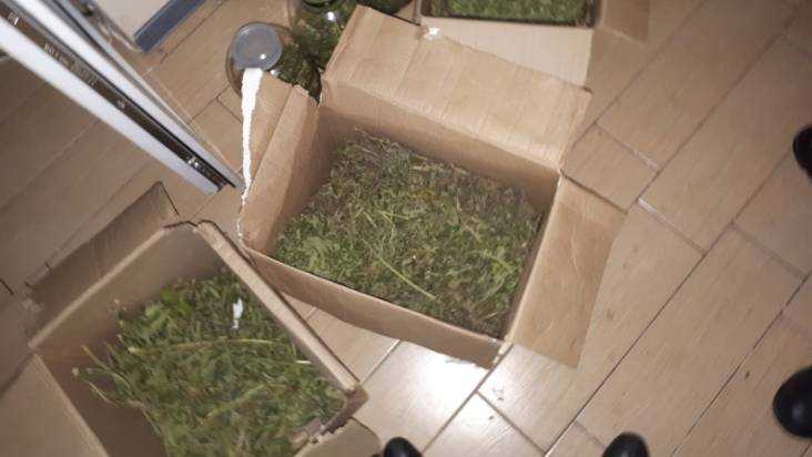 В Брянске полиция закрыла лабораторию амфетамина и марихуаны