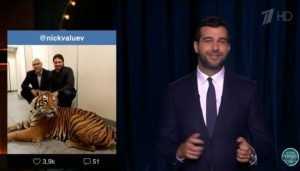 Иван Ургант пошутил над фото брянского депутата Валуева с тигром
