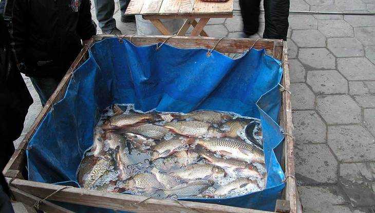 В Брянске ветеринары запретили торговлю зараженной рыбой