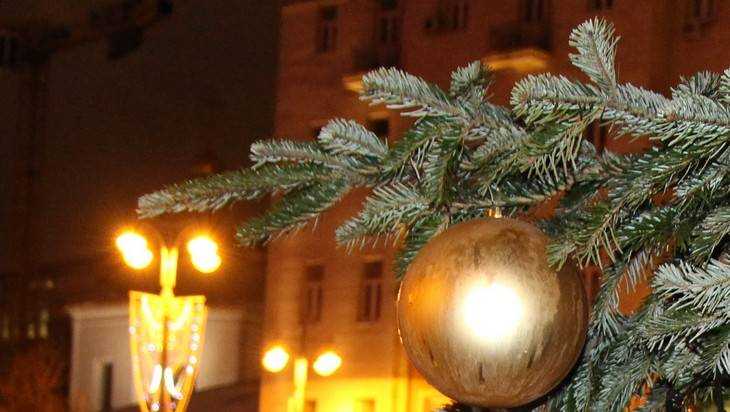 В Брянске полиция изъяла в местах торговли 950 новогодних елок и сосен