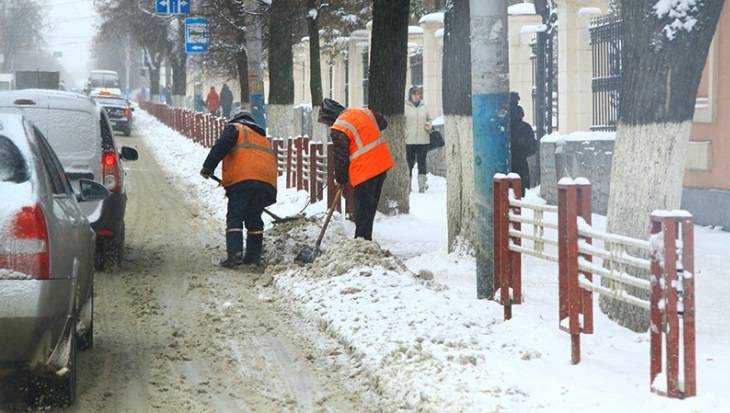 Жителей Брянской области предупредили о сильных снегопадах