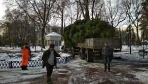В Круглый сквер Брянска доставили главную новогоднюю ёлку