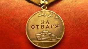 Брянский пристав нашёл на даче медаль «За отвагу» и отдал ее дочери бойца