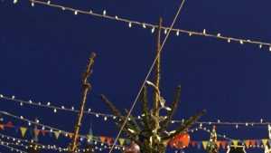 Впервые в Брянске новогодними огнями засияет каштановая аллея