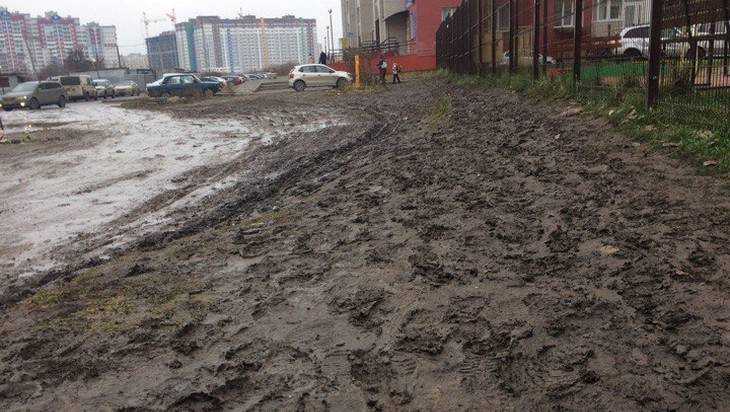 Жители Брянска задумались о кабанах и происхождении грязи на улицах