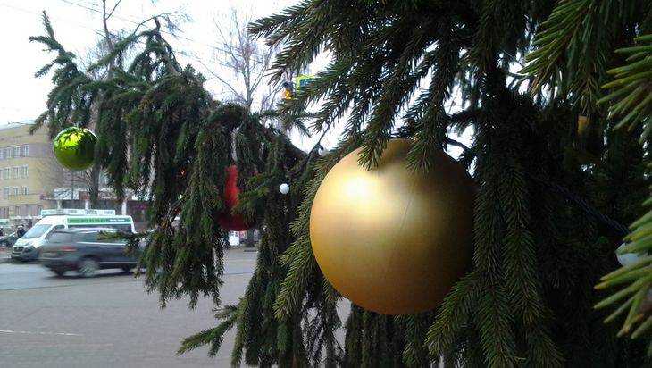 В Брянске елку на площади Воинской славы украсили огромными шарами
