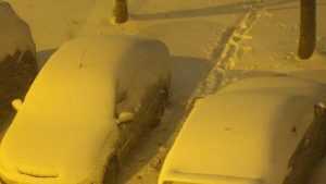 Брянск засыпало снегом – дорожники вывели 97 машин