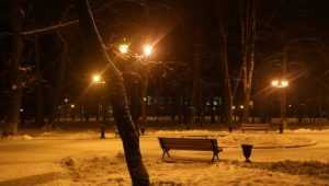 В брянском парке Пушкина впервые зажгли фонари