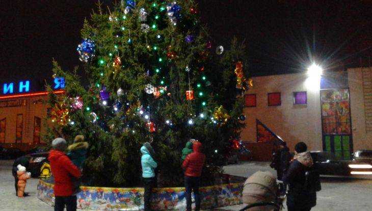 К новогодним елкам в Брянске уже вышли семьи с детьми